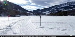 塞尔维亚队的主教练是谁？