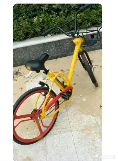 如何评价老伯冒着严寒打捞河中共享单车?