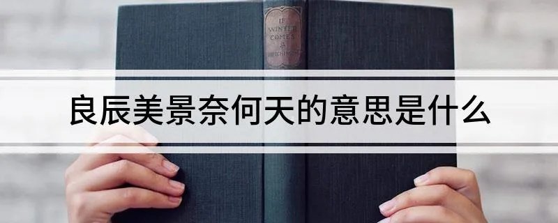 良辰美景奈何天的意思是什么