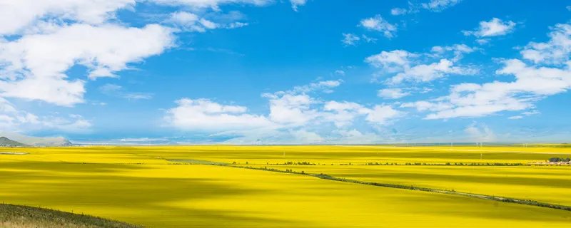 东南西北的英文缩写是什么