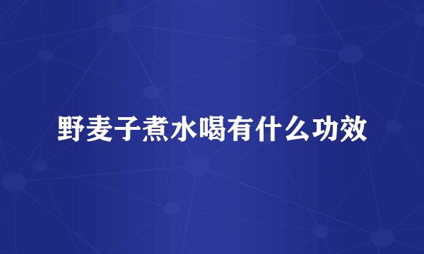 野麦子煮水喝有什么功效