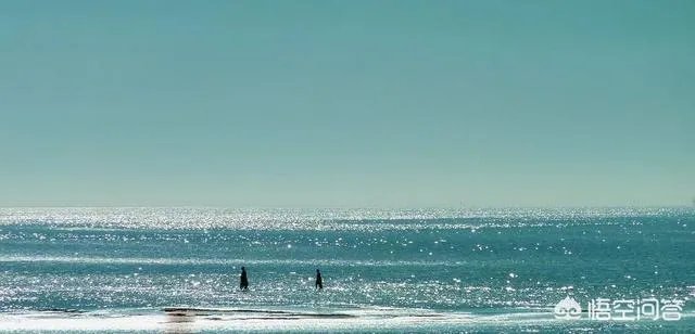 威海比日照如何，哪个更好玩？