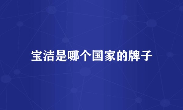 宝洁是哪个国家的牌子