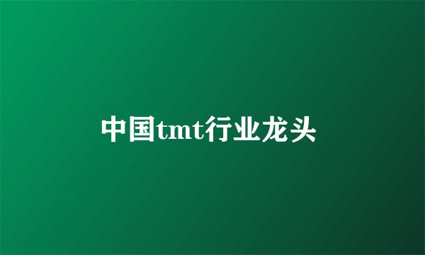 中国tmt行业龙头 