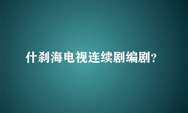 什刹海电视连续剧编剧？