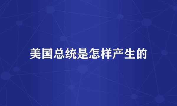 美国总统是怎样产生的