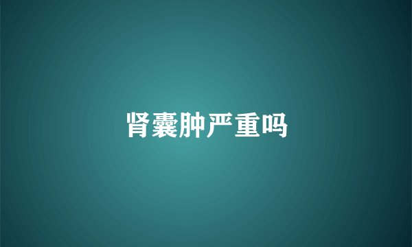 肾囊肿严重吗