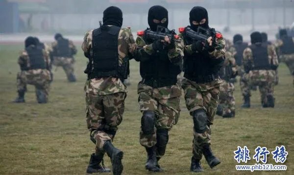 中国十大特种部队排名，雪豹突击队上榜，第三最为隐秘