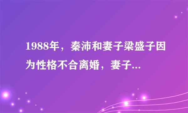 1988年，秦沛和妻子梁盛子因为性格不合离婚，妻子狠心开出条件，两个孩子归秦沛并净身出户。