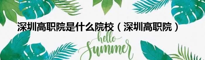 深圳高职院是什么院校（深圳高职院）