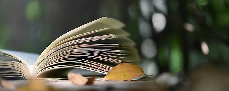 定做和订做的区别 定做和订做的区别是什么