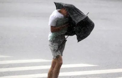 台风来了怎么办？