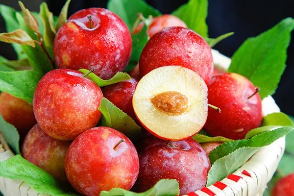 李子的功效和作用