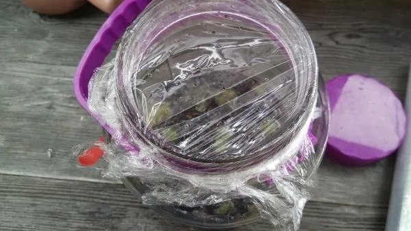 葡萄酒的制作方法 自酿