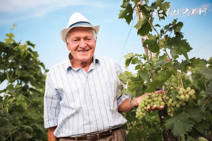 2021年属狗刑太岁怎么化解，牛年属狗犯太岁佩戴什么好