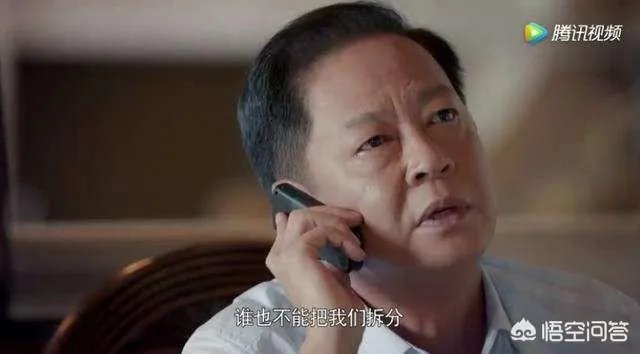 你怎么看电视剧《归去来》中王志文扮演的书望？