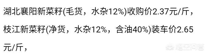 今年湖北油菜籽收的价格大概多少?