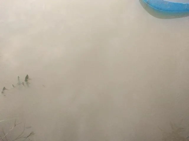 雨后池塘水浑浊怎么处理？