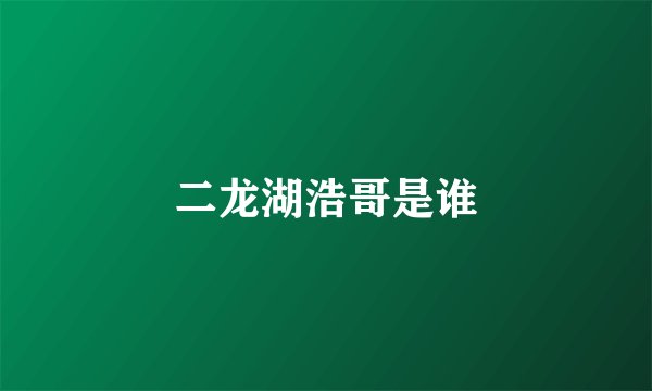 二龙湖浩哥是谁