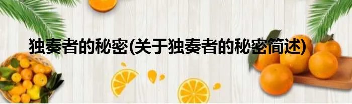 独奏者的秘密(关于独奏者的秘密简述)