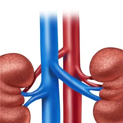 肾亏是什么原因