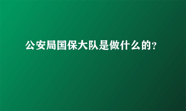 公安局国保大队是做什么的？
