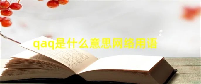 qaq是什么意思网络用语