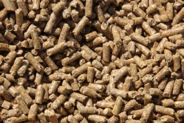 中国前十大猪饲料品牌