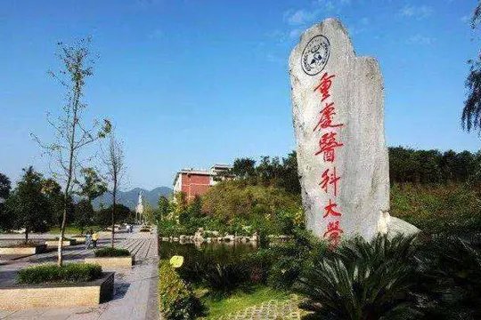 重庆医科大学怎么样？