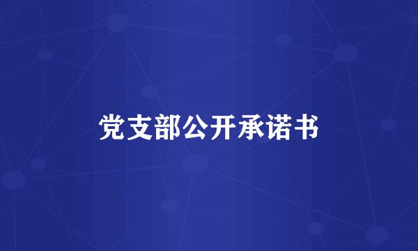党支部公开承诺书