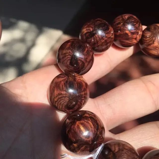 什么是真正的海黄？