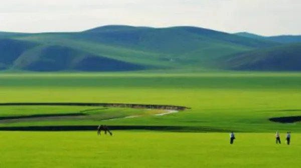 草原的作者简介