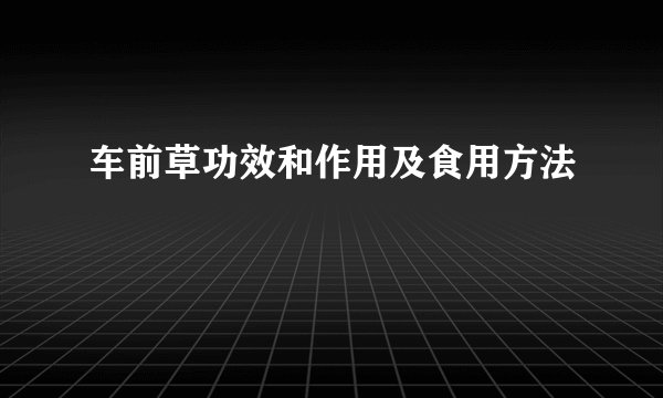 车前草功效和作用及食用方法