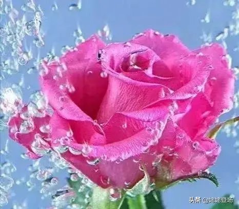 我曾经错过了一个很好很好的女孩，以后再也见不到了，该怎么办？