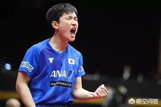 樊振东4:1逆转张本智和晋级2019年亚洲杯男单决赛，如何评价本场比赛双方的表现？