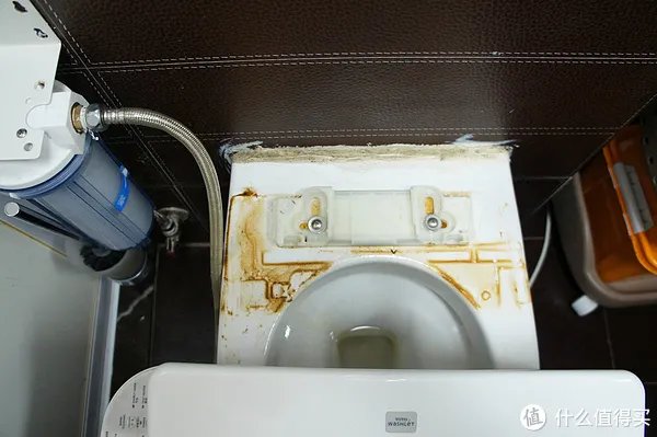 卫洗丽的日常清洁&保养（饭后慎点）