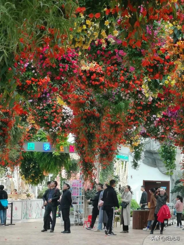 日照海洋公园门票多少钱？里边好玩吗？