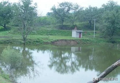 雨后池塘水浑浊怎么处理？
