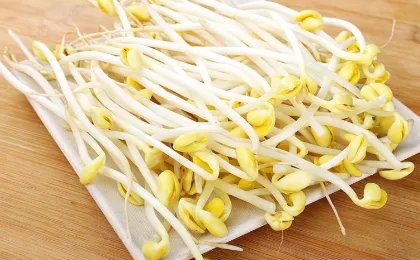 黄豆芽的生长过程