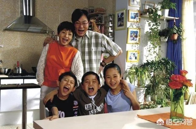 有哪些国产电视剧可以被称作经典？