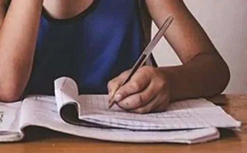 桃之夭夭灼灼其华600字作文