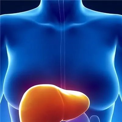 乙肝新药什么时候上市