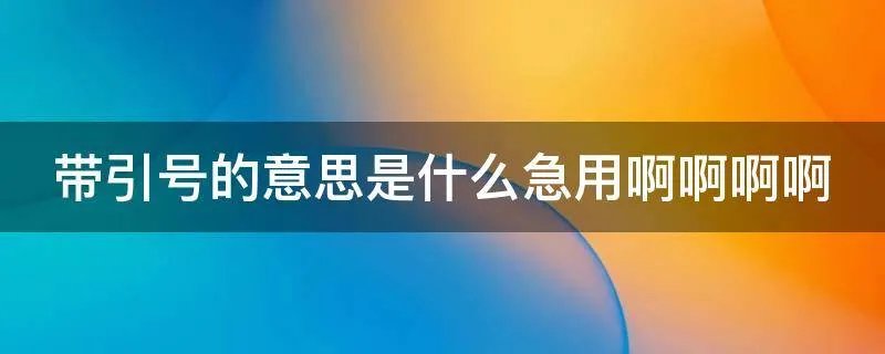 带引号的意思是什么急用啊啊啊啊