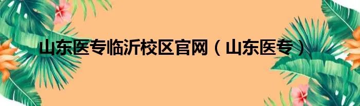 山东医专临沂校区官网（山东医专）
