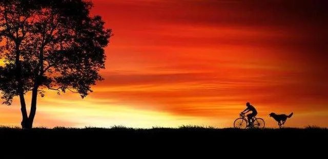 对联：月落和尚青山去，下联如何对？