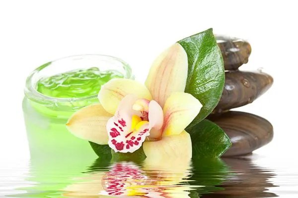 生活美容小常识 我们身边天然的护肤品你知道多少