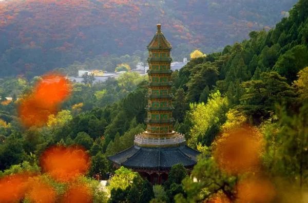 中国最大的琉璃塔在哪里，是什么样子？