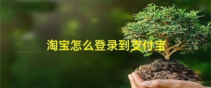 淘宝怎么登录到支付宝
