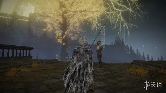 《艾尔登法环》柯林支线任务流程详解 柯林在哪里？