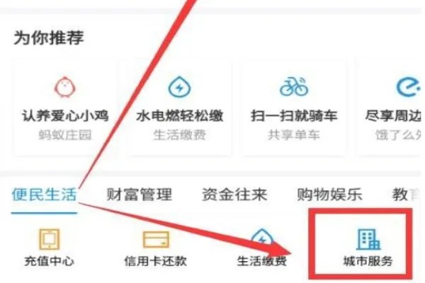 该怎么网上签证